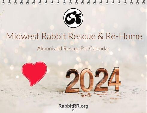 2020 Rescued Rabbits Calendar