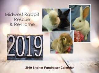 2019 Rescued Pet Rabbit Calendar